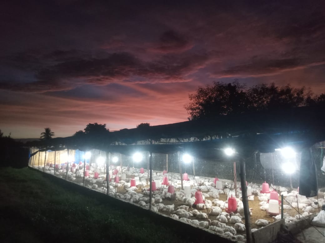 Fresh Farm Chicken Delivered to Your Door